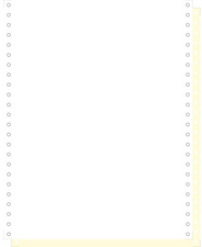 Computerpapier, endlos, 2-fach