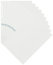 Prospekthülle DIN A4, oben offen, Eurolochung, transparent genarbt 