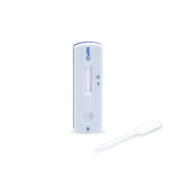 NADAL® Nuclear Matrix Protein 22 (NMP22) Test 