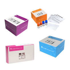 LumiraDX - Kontrollen