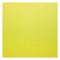 morepic-2